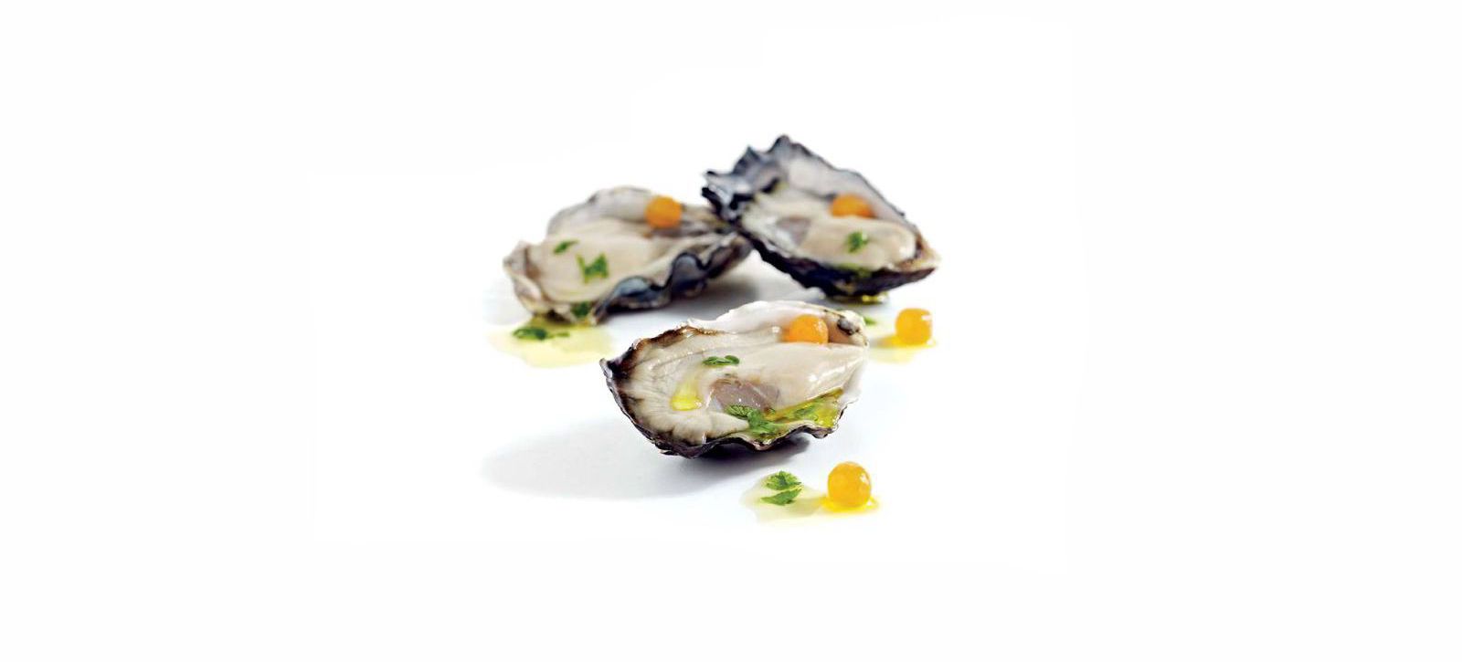 6_pacific_oysters